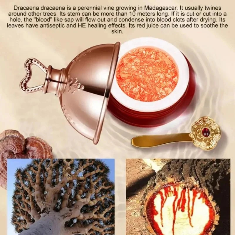 Dragon’s Blood Face Cream – Moisturizing Face Cream